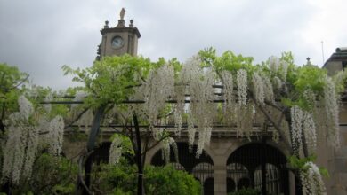 Photo of 10 jardins épicos da história