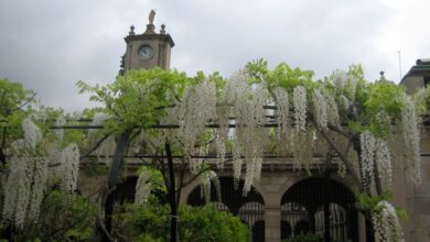 Photo of 10 jardins épicos da história