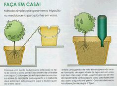 Photo of 10 sistemas de rega automática frugal que as suas plantas em vaso vão adorar