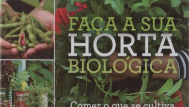 Photo of 22 melhores legumes para plantar na sua horta de fardos de palha