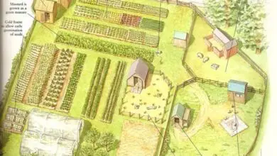 Photo of 28 ideias de design de fazenda para inspirar o seu sonho de fazenda