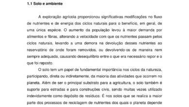 Photo of 3 técnicas de compostagem diferentes (e as vantagens de cada uma delas)