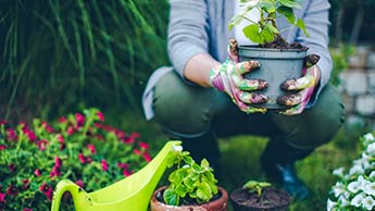Photo of 5 maneiras de melhorar as suas habilidades de jardinagem