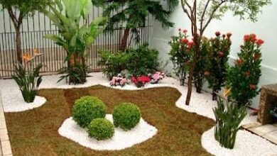 Photo of 8 ideias de jardinagem para um jardim mais bonito