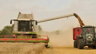 Photo of Agricultura Moderna: 8 Formas Práticas de Fazer Negócios como Agricultor.