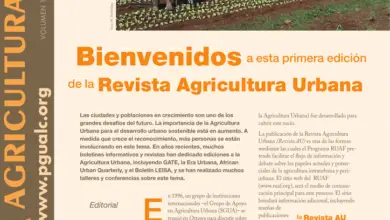 Photo of Agricultura urbana, suburbana e rural: que tipo de agricultura lhe fica melhor?