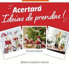 Photo of As melhores plantas de Natal para celebrar as festas