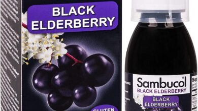 Photo of Black Elderberry