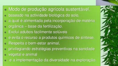 Photo of Boas razões para a associação da agricultura biológica