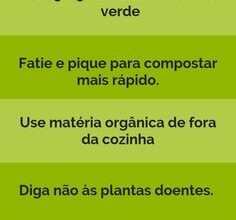 Photo of Calculadora de Compostagem de Carbono para Nitrogênio: Criando a pilha de compostagem perfeita