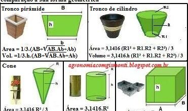 Photo of Calculadora de fertilizantes: descubra quanto fertilizante usar no seu jardim