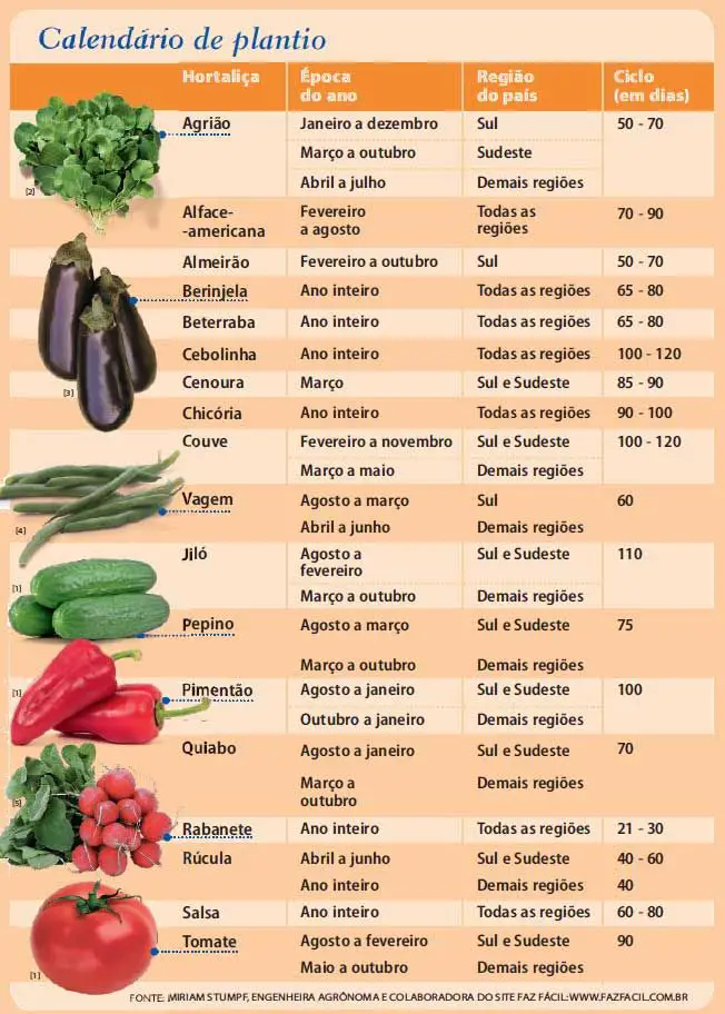Calendário de cultivo de hortaliças Noticias De Jardim Calendário de cultivo de hortaliças Noticias De Jardim