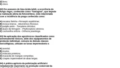 Photo of Causas do amortecimento da cenoura: razões para o fracasso da muda de cenoura