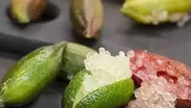 Photo of Citrus australasica, fruta semelhante ao caviar