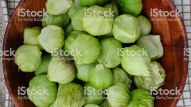 Photo of Colheita do Tomatillo: como e quando colher o tomatillo