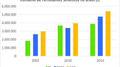 Photo of Como adicionar nitrogénio ao solo e erros dispendiosos para evitar