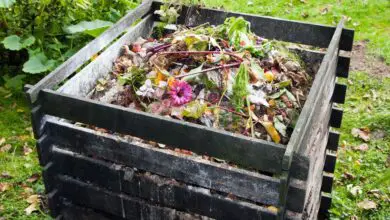 Photo of Como construir um caixote do lixo económico de compostagem de bricolage de 3 maneiras