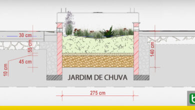 Photo of Como construir um jardim com chuva no seu jardim