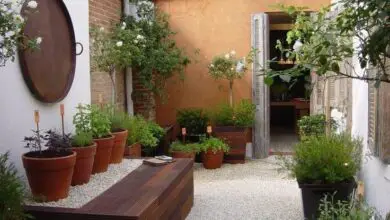 Photo of Como criar um pouco mais de espaço no jardim – para cima!