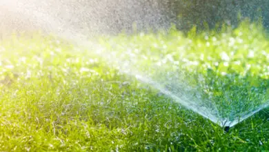 Photo of Como funciona um sistema de irrigação por rotor e é adequado para o seu jardim?