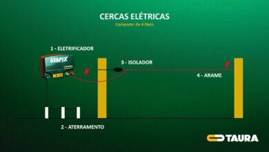 Photo of Como instalar um cercado eléctrico eficaz em 8 passos simples