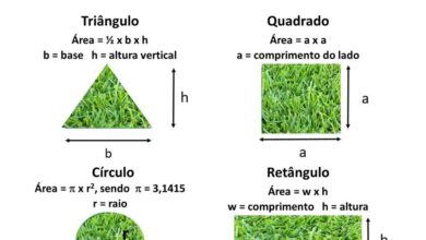 Photo of Como preparar o solo do jardim para plantio em 7 passos simples