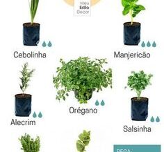 Photo of Como usar etiquetas de plantas para manter o seu jardim organizado (e 10 ideias de marcadores de plantas para usar você mesmo)