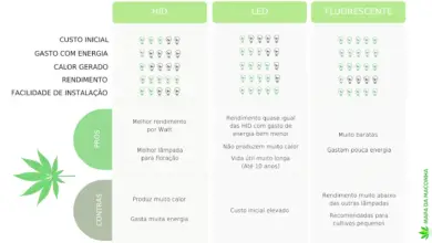 Photo of Como Utilizar uma Estufa: Guia de Primeiros Passos