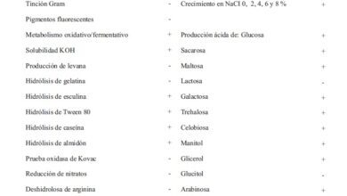 Photo of Controle da Aveia Bacteriana Halo Bacterial Blight Control