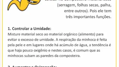 Photo of Controle de minhocas de salsa: informações sobre como controlar minhocas de salsa