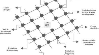 Photo of Cuidados com a Muehlenbeckia complexa ou Vinha de Fio