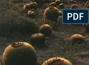 Photo of Cuidados com a planta Thelocactus bicolor ou Biznaga bicolor nipple