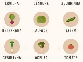 Photo of Cultivar uma horta de saladas: aprender a cultivar legumes em vasos