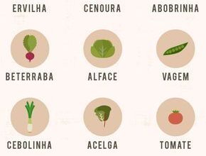 Photo of Cultivar uma horta de saladas: aprender a cultivar legumes em vasos