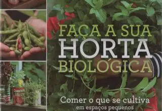 Photo of Cultivo de Rutabaga: variedades vegetais, guia de instrução, problemas e colheita
