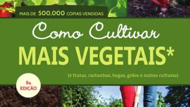 Photo of Cultivo do ruibarbo: variedades, guia de plantio, cuidados, problemas e colheita