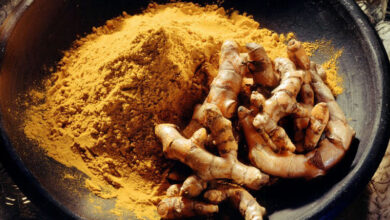 Photo of Curcuma longa safran índio, curcuma, curcuma comunitária