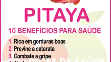 Photo of Descubra a flor de Pitahaya ou Pitaya e as propriedades…