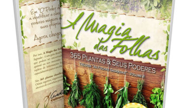 Photo of Descubra a magia das plantas