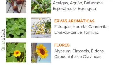 Photo of Dicas de jardinagem de Abril e tarefas para cada área de plantio e região
