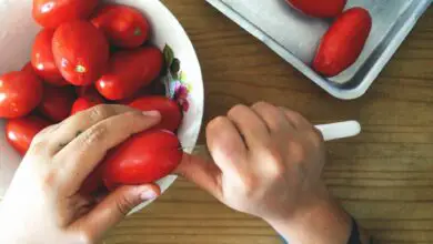Photo of Dicas para adoçar o tomate: Qual é o segredo dos tomates doces?