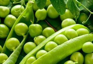 Photo of Dwarf sugar peas – Dicas de tratamento para ervilhas