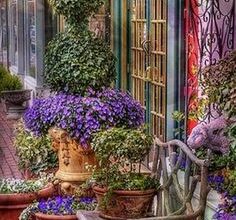 Photo of Ervas para pratos de inspiração espanhola: Como Cultivar um Jardim de Ervas Espanhol