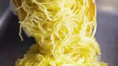 Photo of Fábrica de Abóboras Spaghetti: Dicas para cultivar a abóbora Spaghetti