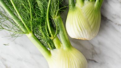 Photo of Fennel