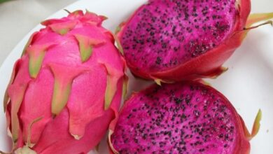 Photo of Fruta Dragão Vermelho, Pitaya Vermelha