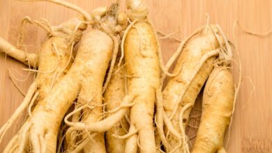 Photo of Ginseng Remédios – Usando Ginseng para a Saúde