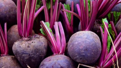 Photo of Growing Beets: A Complete Guide to Planting, Growing and Harvesting Beets