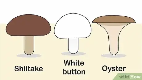 Photo of Growing button cogumelos: um guia completo de plantação, cultivo e colheita de cogumelos botão