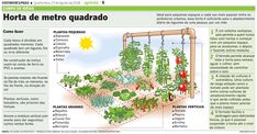 Photo of Growing Chives: The Complete Guide to Planting, Growing and Harvesting Chives (O Guia Completo para Plantar, Cultivar e Colher o Cebolinho)